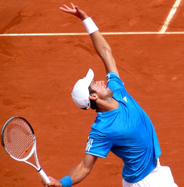 File:Novak Đoković at the 2009 French Open 4.jpg