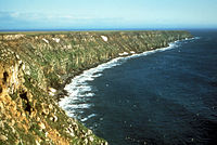 Bering Sea cliffs, Nunivak