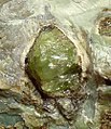 Olivine-213077.jpg