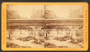 Miniatuur voor Bestand:On the Wissahickon at Red Bridge, by Cremer, James, 1821-1893.png