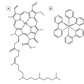 Pictured are Chlorophyll A (A) and Tris(2-phenylpyridine)iridium (B), two examples of organometallic photosensitizers. Organometallic photosensors 1.svg