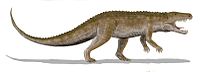 Ornithosuchus Ornithosuchus BW.jpg