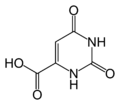 Orotic-acid-2D-skeletal.png