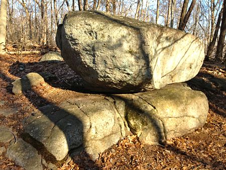 OsbournedaleSP Erratic