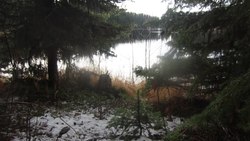 Montane Spruce Zone overlooking Browne Lake in the Okanagan Highland