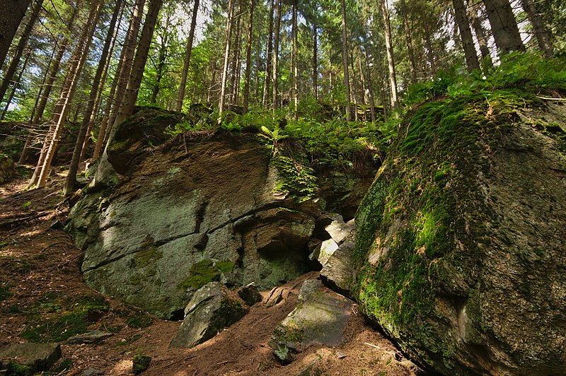 File:Přírodní rezervace Zemská brána, okres Ústí nad Orlicí (02).jpg