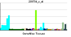 PBB GE TMPO 209754 s osoitteessa tn.png