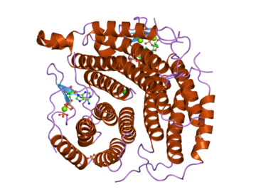 2idx: Structure of Human ATP:Cobalamin adenosyltransferase bound to ATP.