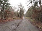 Čeština: Silnice v přírodní památce Černý orel. Okres Mladá Boleslav, Česká republika. English: Road in the natural monument Černý orel, Mladá Boleslav District, Czech Republic.