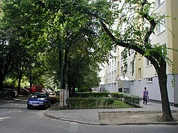 Palkovicova street Bratislava2.jpg