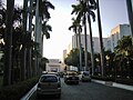 Palm trees lining the entrance of Imperial Hotel, New Delhi.jpg