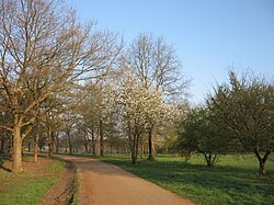 Parc de Lacroix-Laval 1.jpg