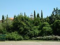 Park habitat of Lycaena phlaeas Lycaenidae, Parco Inclusivo Luciano Vizzoni, Livorno, Italy