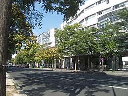 Ilustrační obrázek článku Avenue Pierre-de-Coubertin