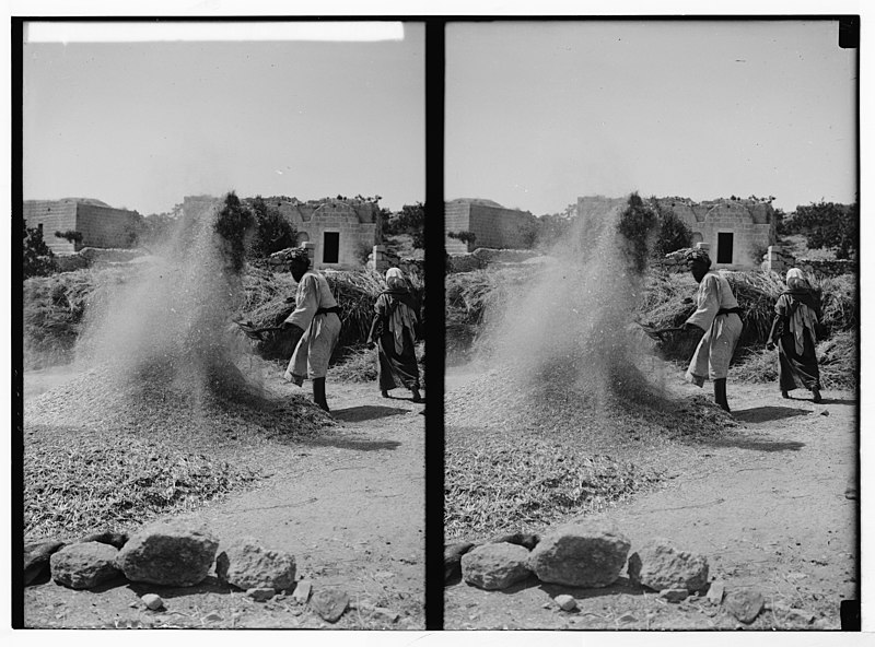 File:Peasant winnowing in the Field of Boaz LOC matpc.05399.jpg