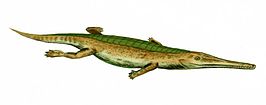 Pelagosaurus