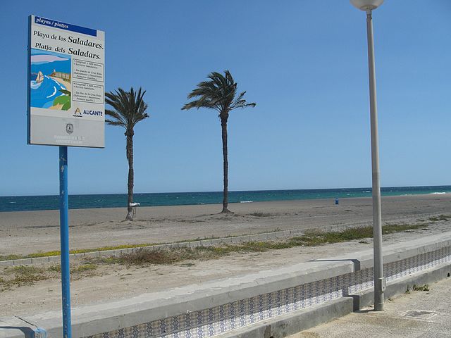 Platja del Saladar