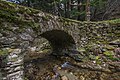 * Nomination Pont du Vialais. Haut-Languedoc Regional Natural Park, commune of Rosis, Hérault, France. --Christian Ferrer 11:32, 10 May 2016 (UTC) * Promotion Good quality. --A.Savin 12:02, 10 May 2016 (UTC)