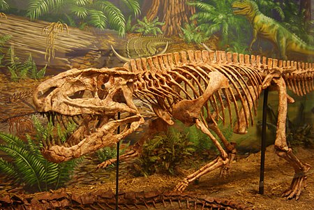 Postosuchus.jpg