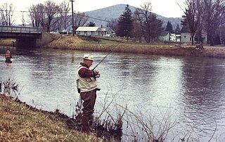 Potato Creek (Pennsylvania) river in McKean County, Pennsylvania, United States