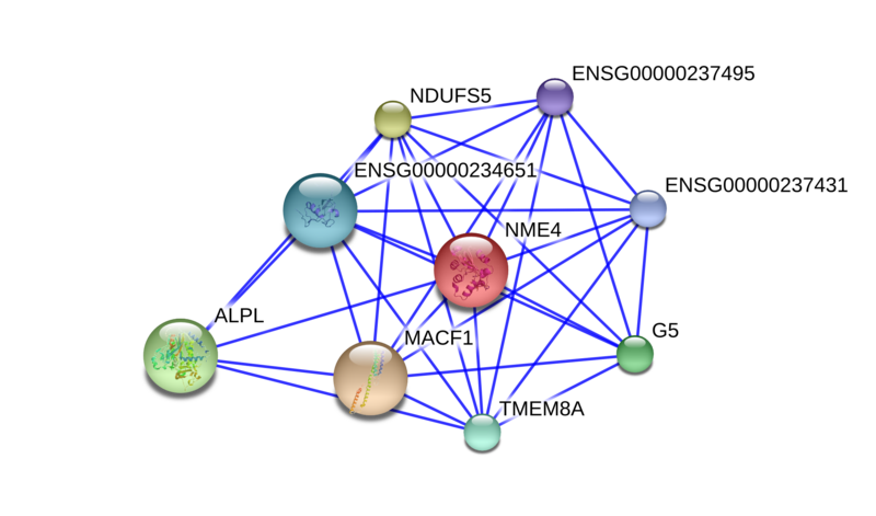 File:Protein Interaction Network for TMEM8A.png