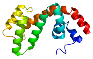 <span class="mw-page-title-main">RGS17</span> Protein-coding gene in the species Homo sapiens