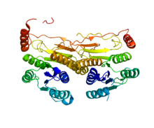 Protein UBA5 PDB 3GUC.png