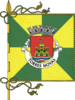 Flag of Torres Novas