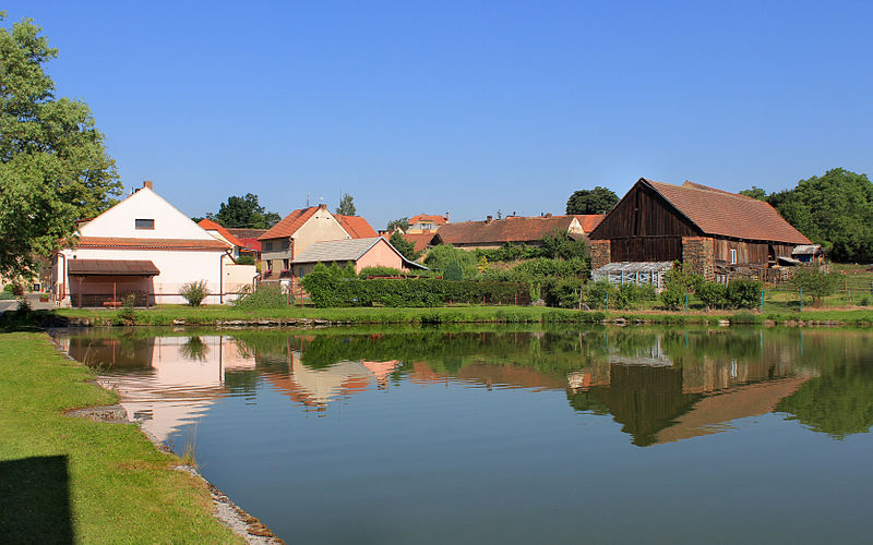 File:Puclice, common pond.jpg