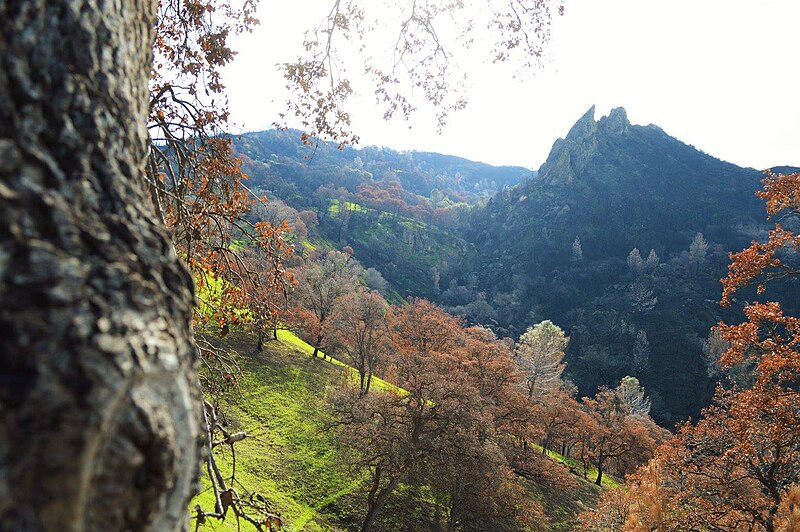 File:Putah Creek Pinnacles.jpg