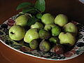 Thumbnail for File:Quince Figs4 (3842038629).jpg