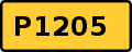 Регионален пат 1205 shield
