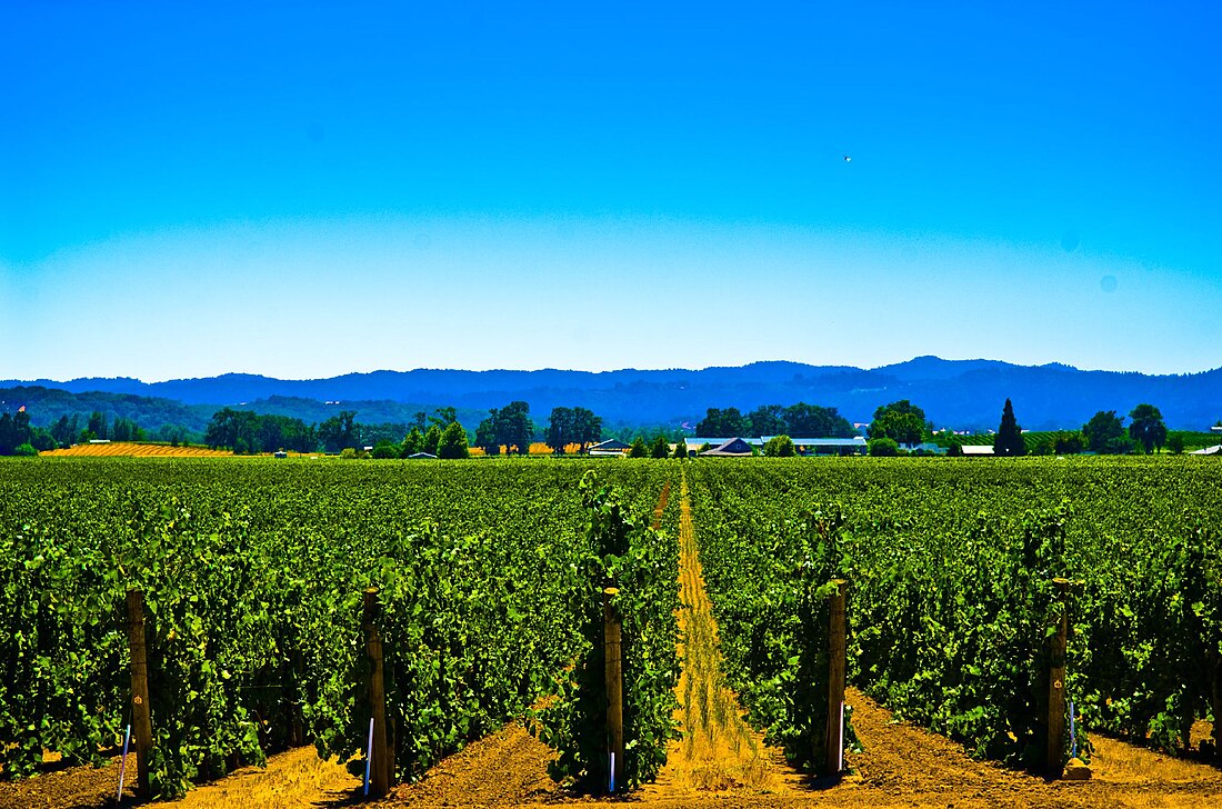 Alexander Valley AVA