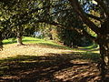 Rougemont Gardens, Exeter - geograph.org.uk - 275436.jpg