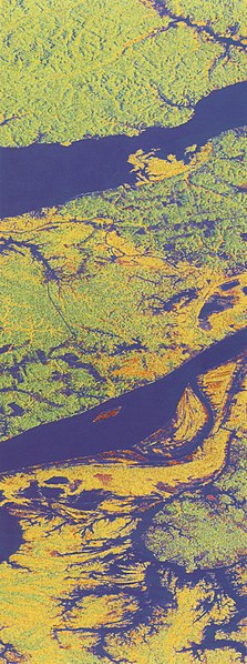 File:SIR-C X-SAR image of Manaus, Brazil.jpg