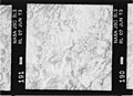 Kodak B&W infrared film with 700-800 nm bandpass filter