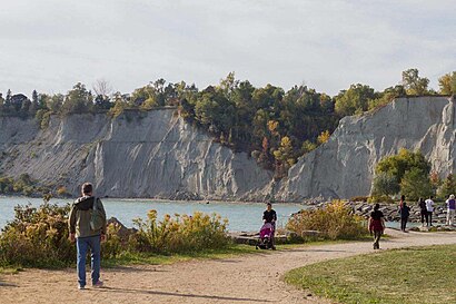 Comment aller à Bluffer's Park en transport en commun - A propos de cet endroit