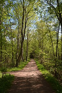 Schleswig-Holstein, Großenaspe, NSG Halloher Moor, Brandsheide und Könster Moor NIK 6311.jpg