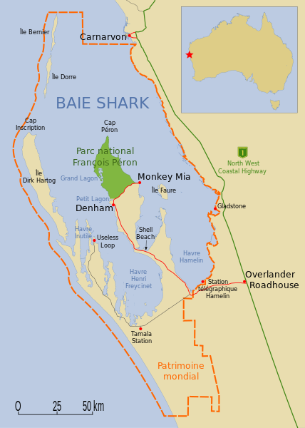 Shark bay Patrimonio Unesco Oeste Australia, West Australia - Costa Oeste de Australia (West Australia): rutas, qué ver - Foro Oceanía