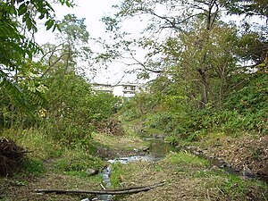 精進川 - Wikipedia