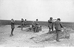 Miniatuur voor Schietsport op de Olympische Zomerspelen 1920