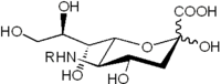 シアル酸の一般構造式