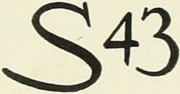 Logo of the Sikorsky S-43.