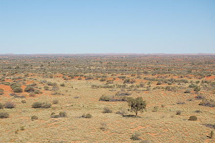 View of the desert from Chamber's Pillar