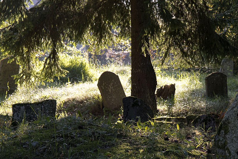 File:Skaistkalnes ebreju kapi - jewish cemetery - panoramio.jpg