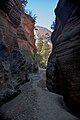 Slot canyon exit (6274449382).jpg