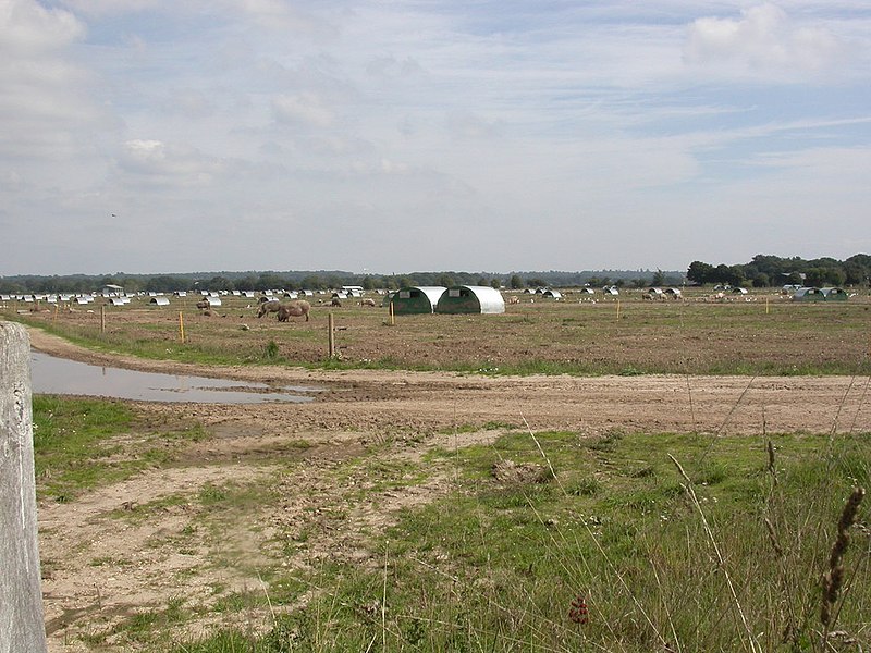 File:Sopley, piggery - geograph.org.uk - 2046459.jpg