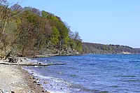 Skovområde ved Vejle Fjord