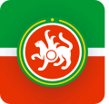 Standard for Tatarstan (digital version).svg
