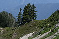 Stillaguamish Peak